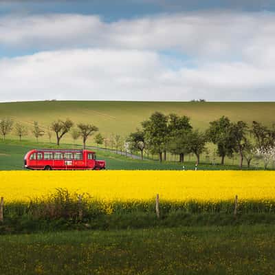 Der rote Bus im Rapsfeld, Germany