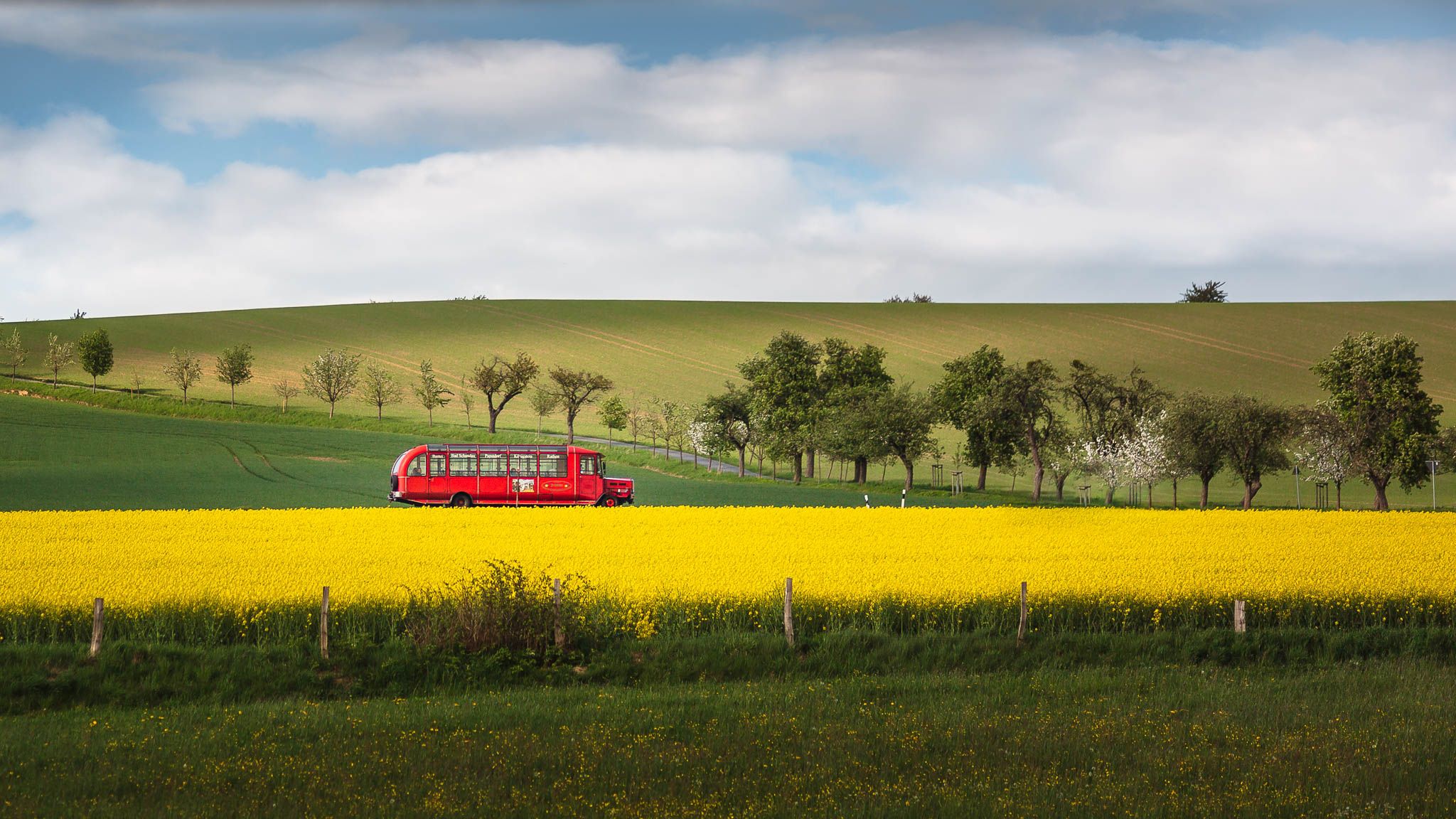 Der rote Bus im Rapsfeld, Germany