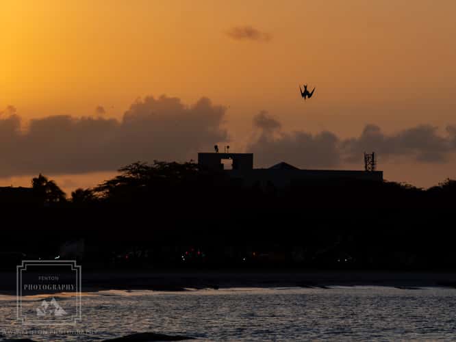 Divi Dutch Village Beach Resort