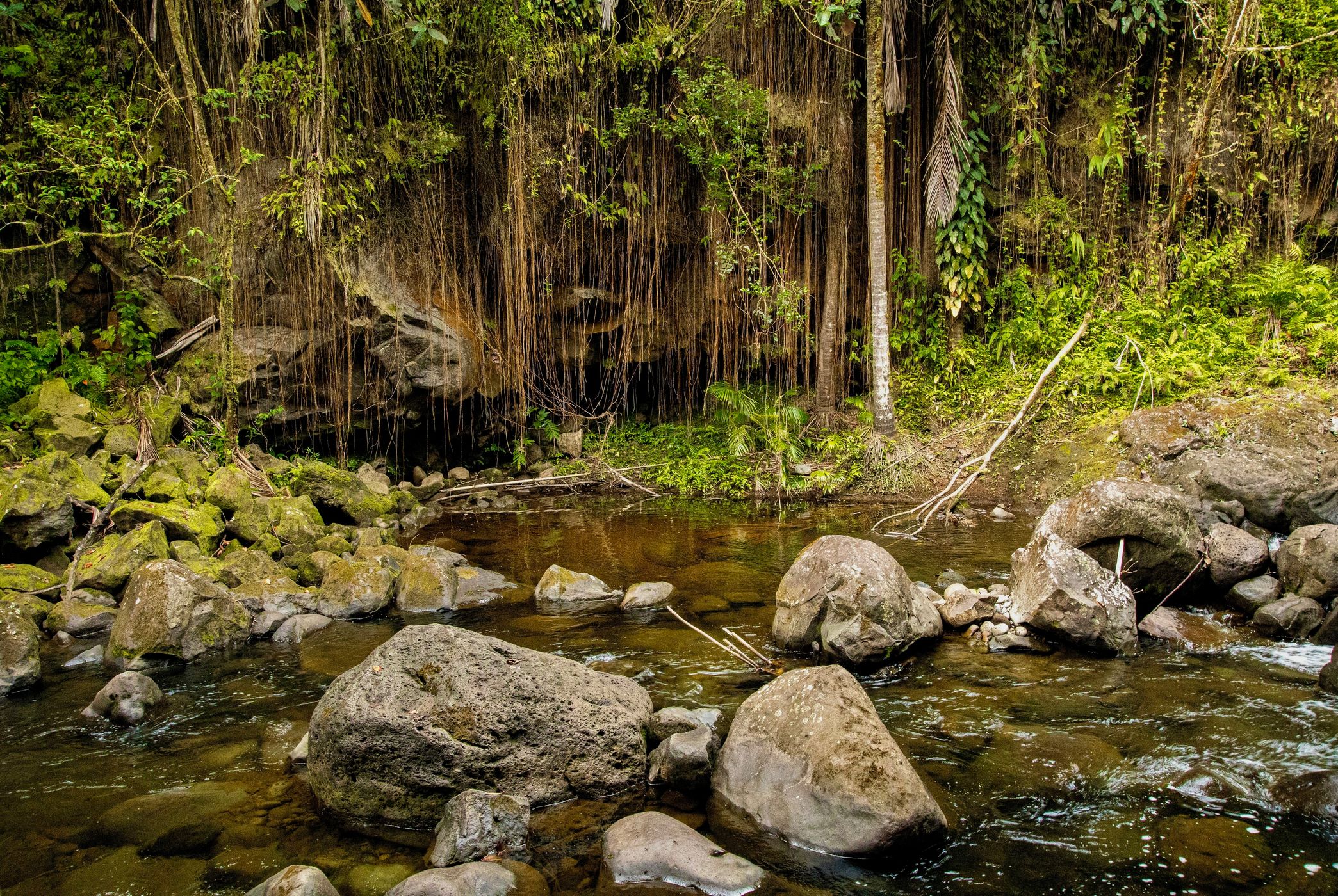 Hanawi Stream, USA