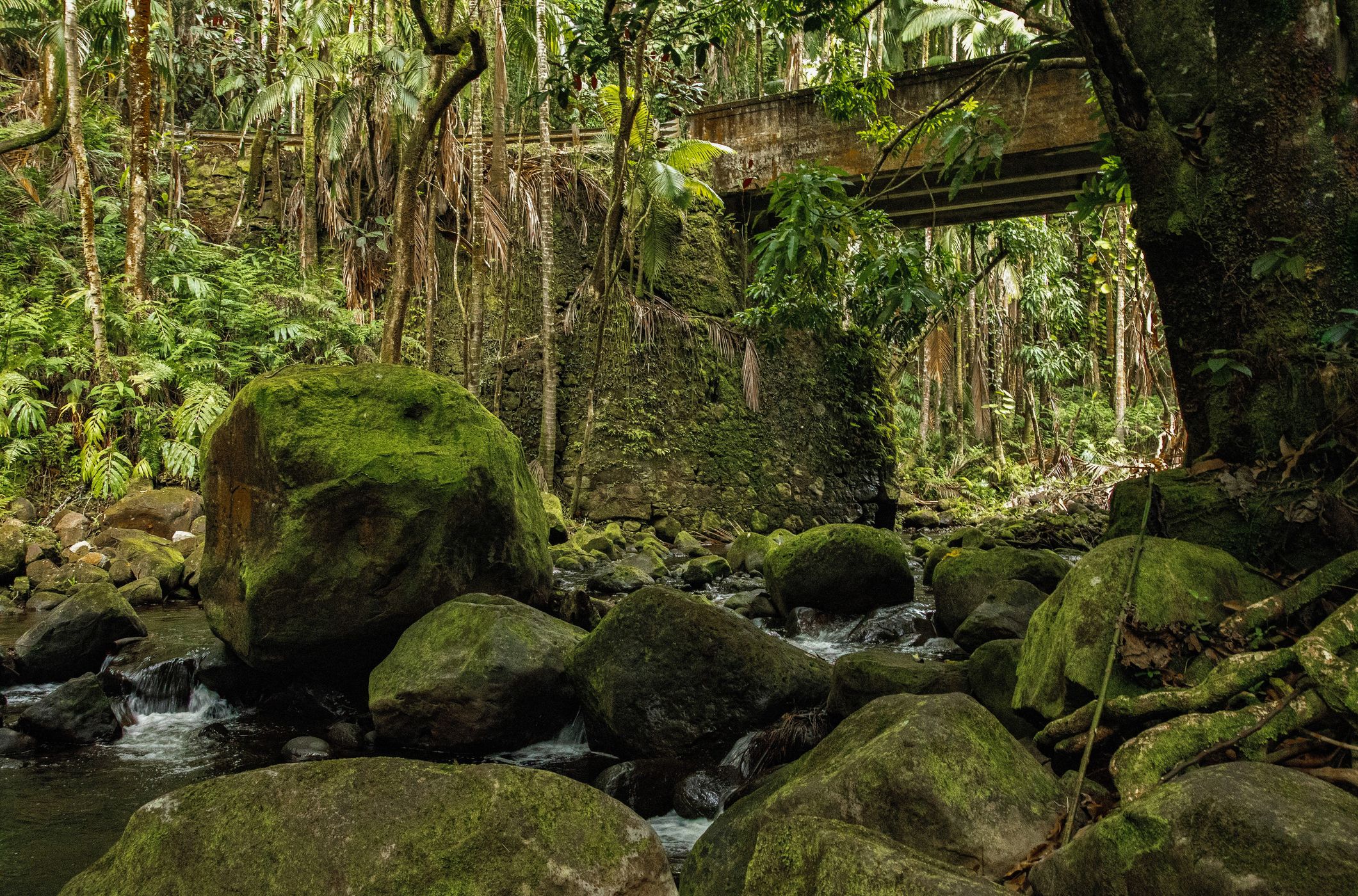 Hanawi Stream, USA