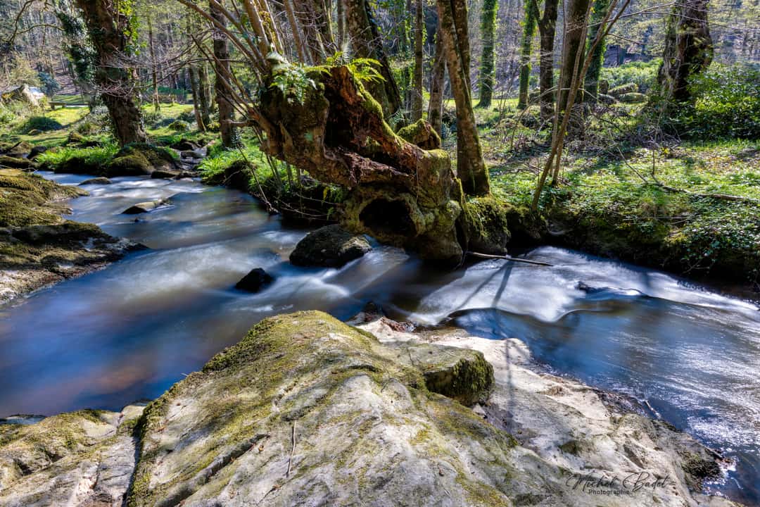 Top Photo Spots at Lanrelas in 2025