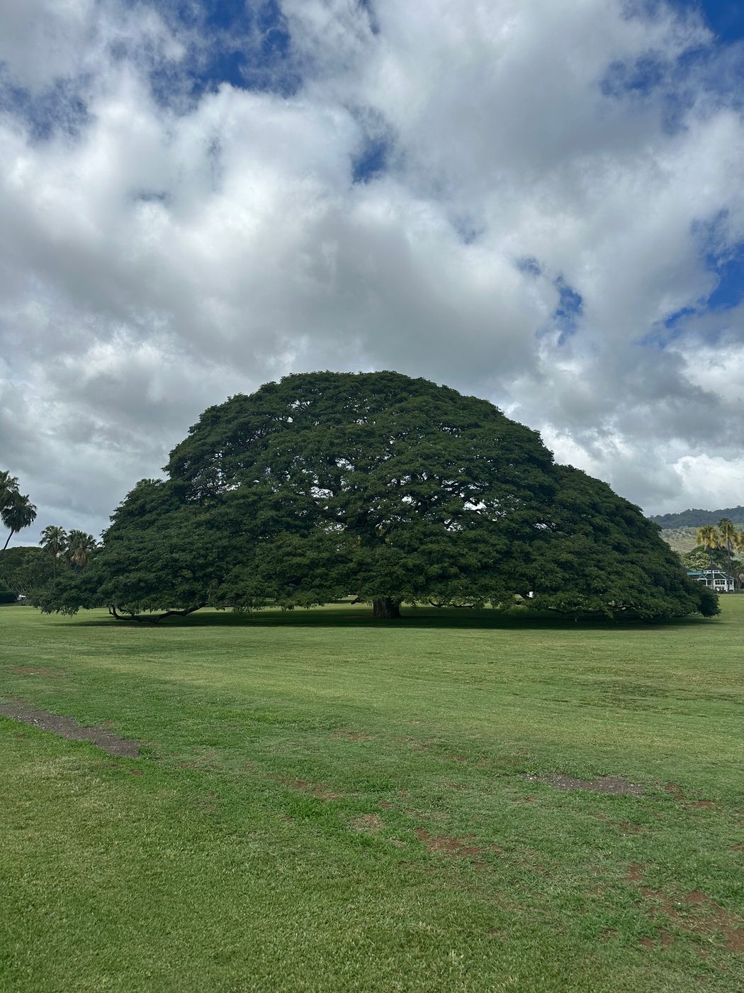 Moanaloa Gardens, USA