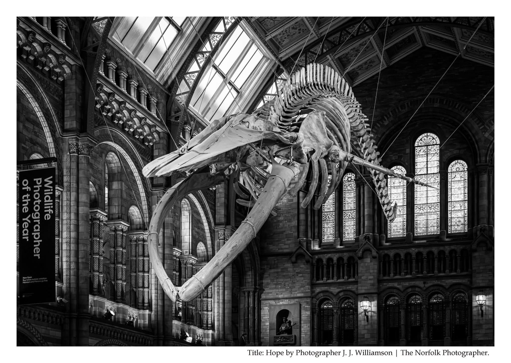 Natural History Museum, South Kensington., United Kingdom