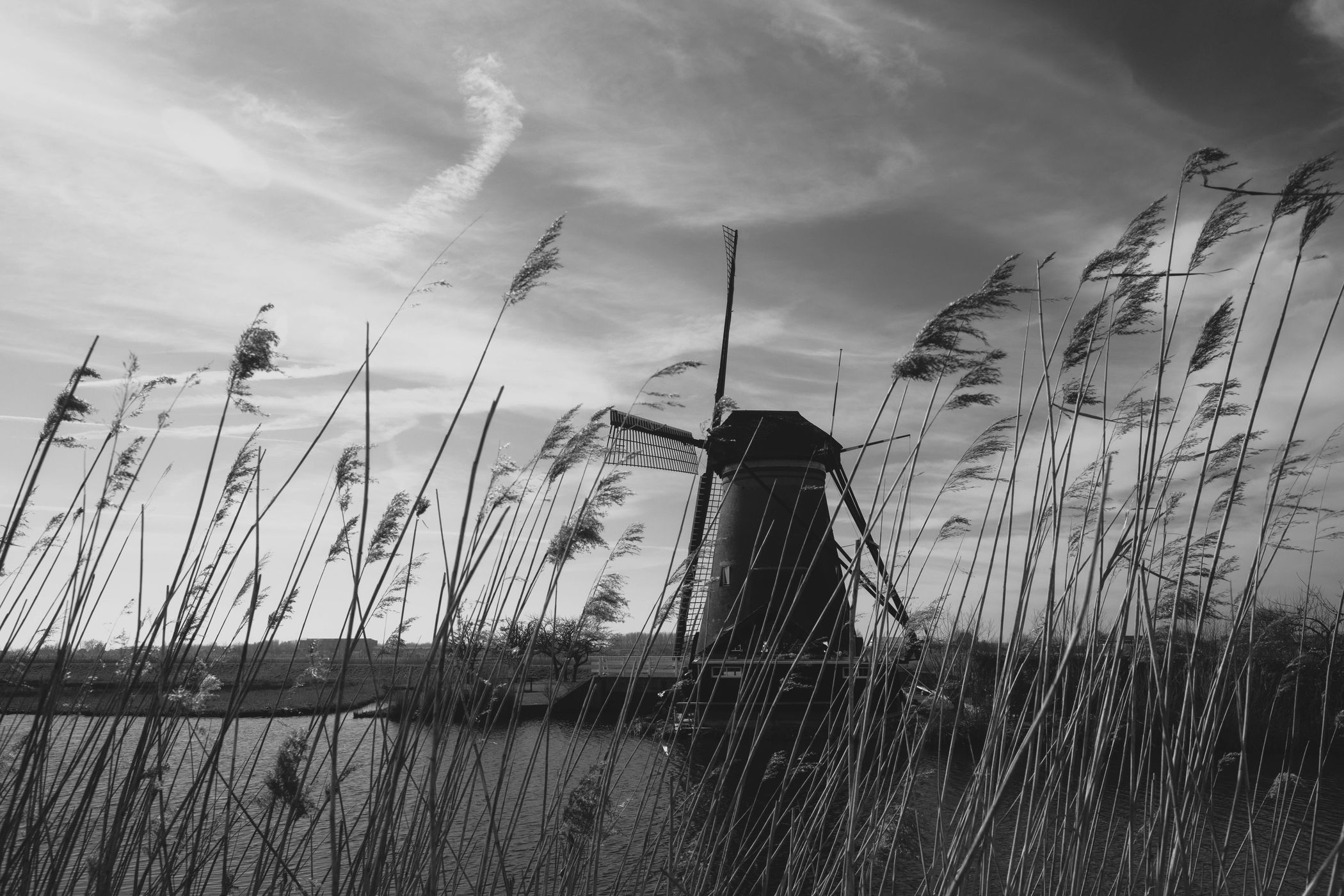 Nederwaard No 1, Netherlands