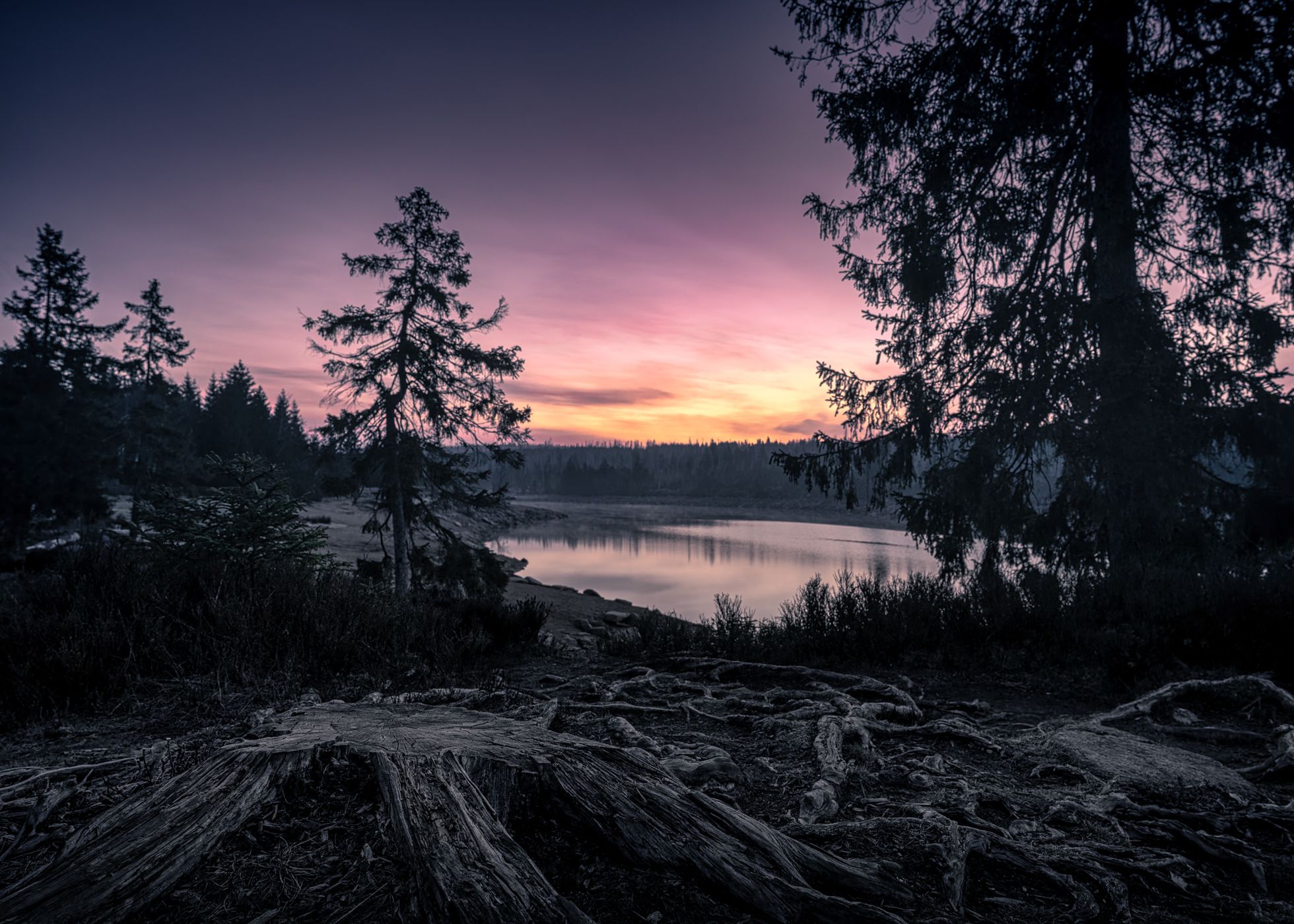 Oderteich, Germany