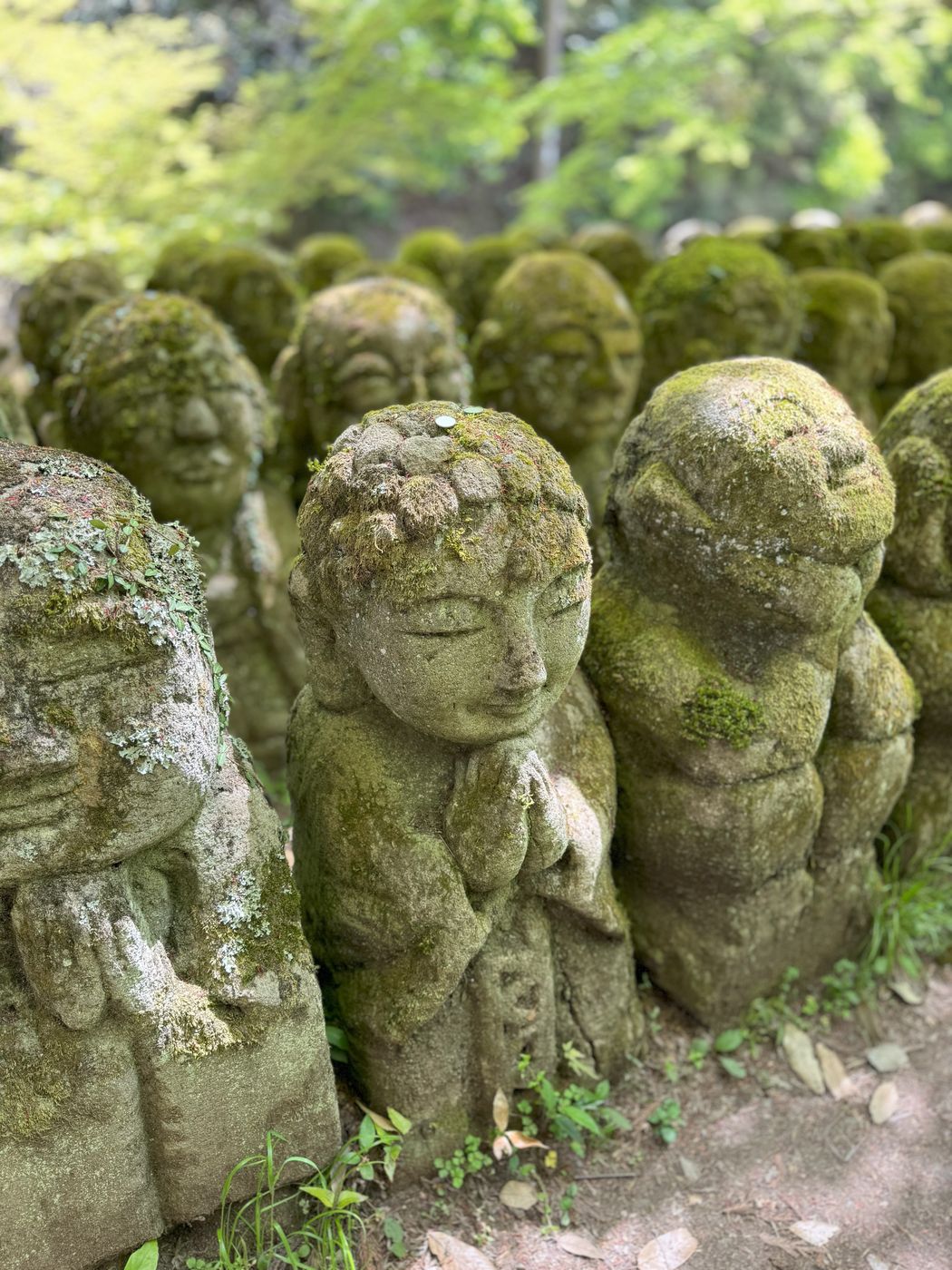 Otagi Nenbutsu-Ji Temple, Kyoto, Japan