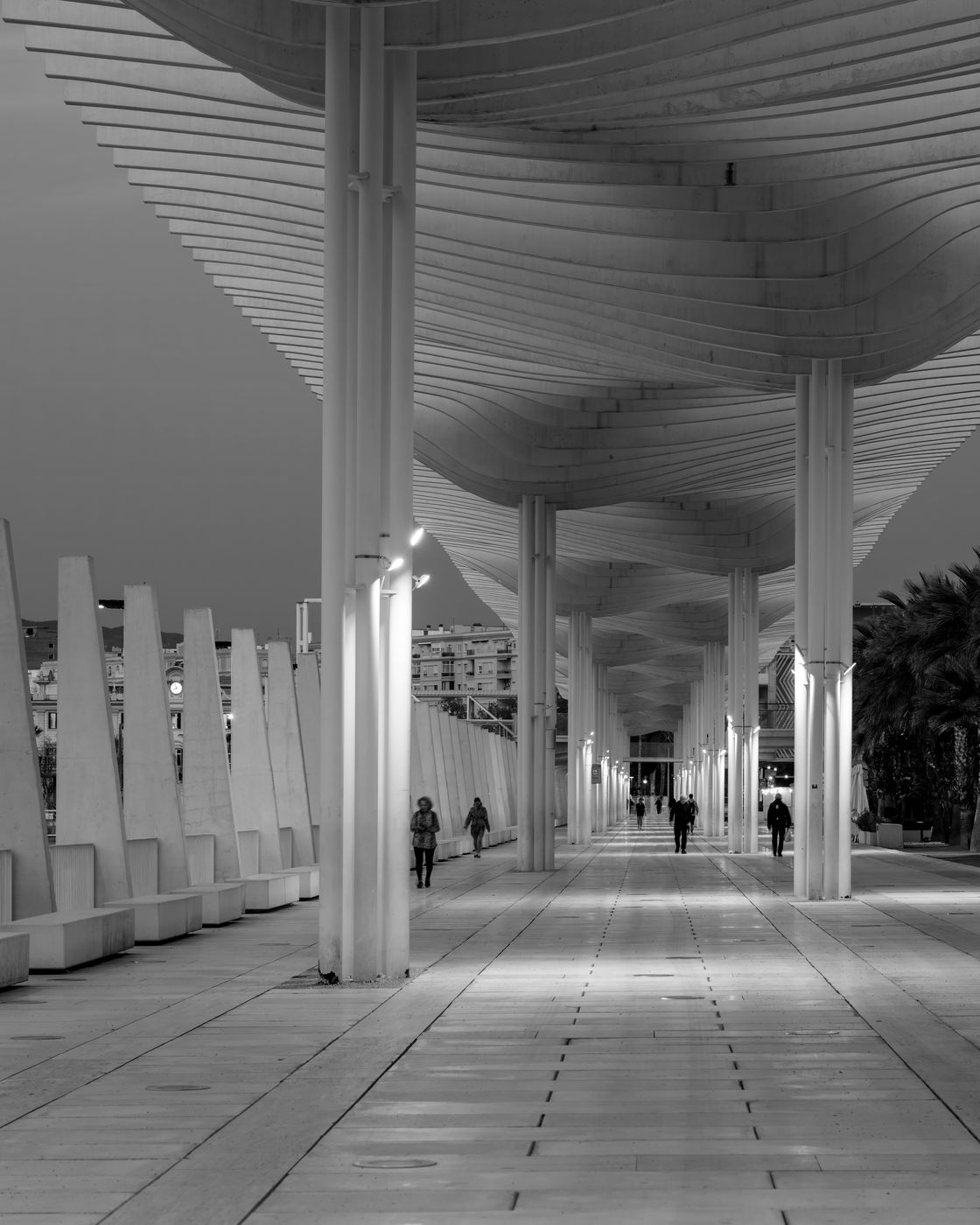 Palmeral de Las Sorpresas, Spain