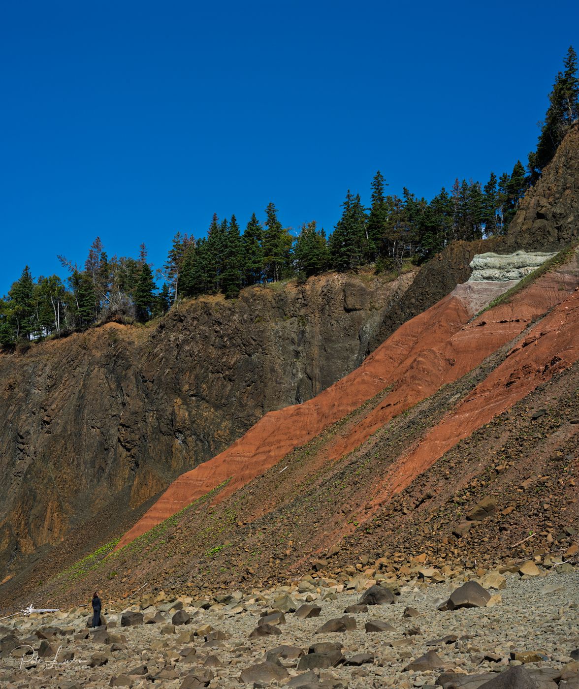 Rockformation near the 'Old Wife', Canada