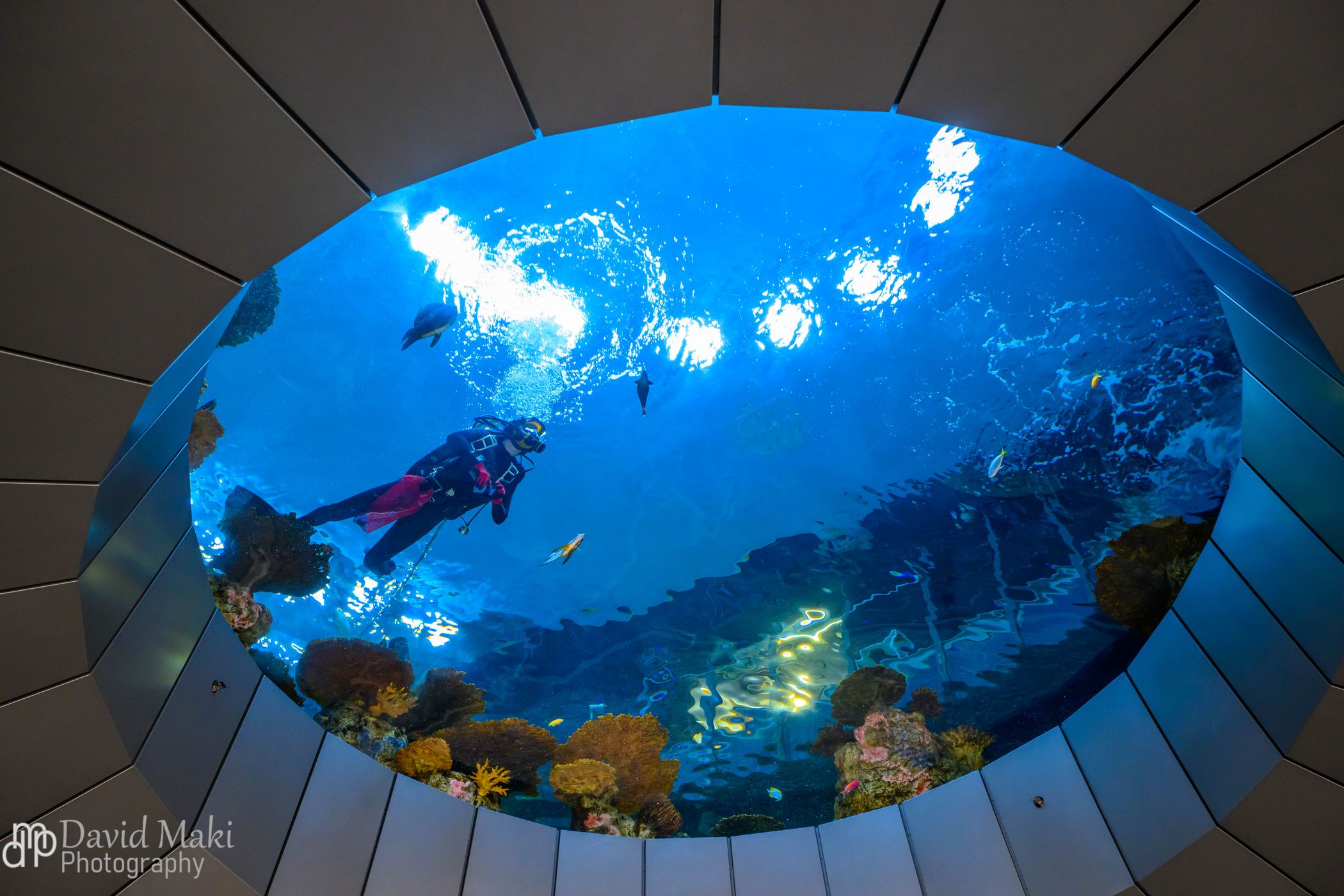 Seattle Aquarium, USA