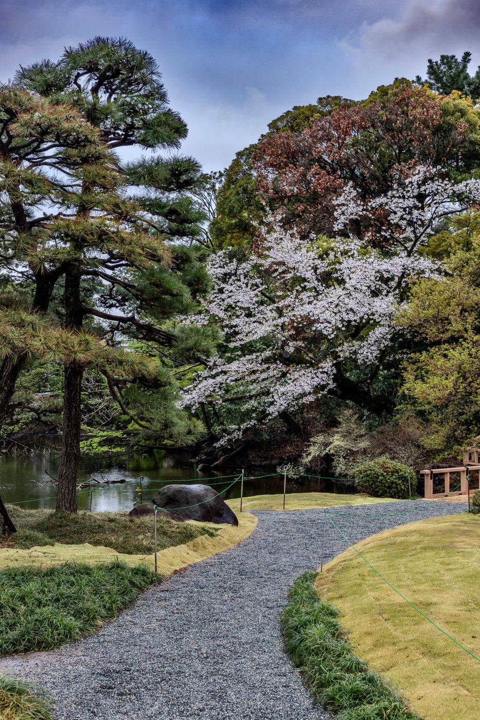 Shinjuku Gyoen National Garden, Japan