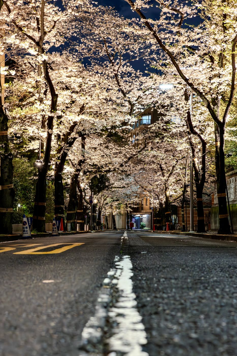 Spain Hill, Japan