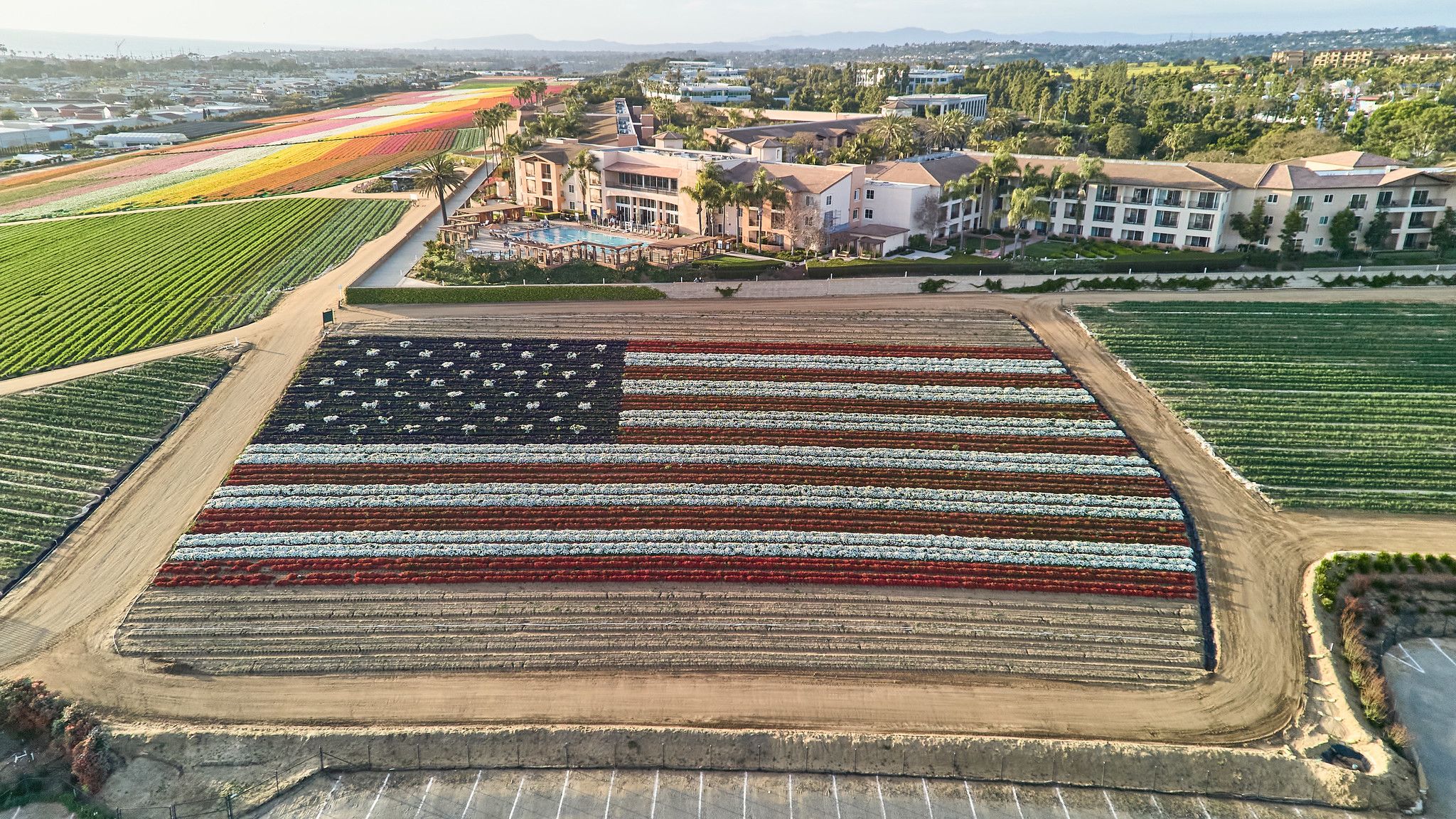 The Flower Fields at Carlsbad, California, USA