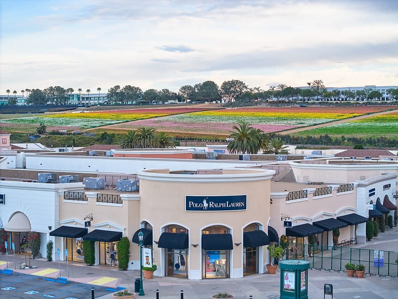 The Flower Fields at Carlsbad, California, USA
