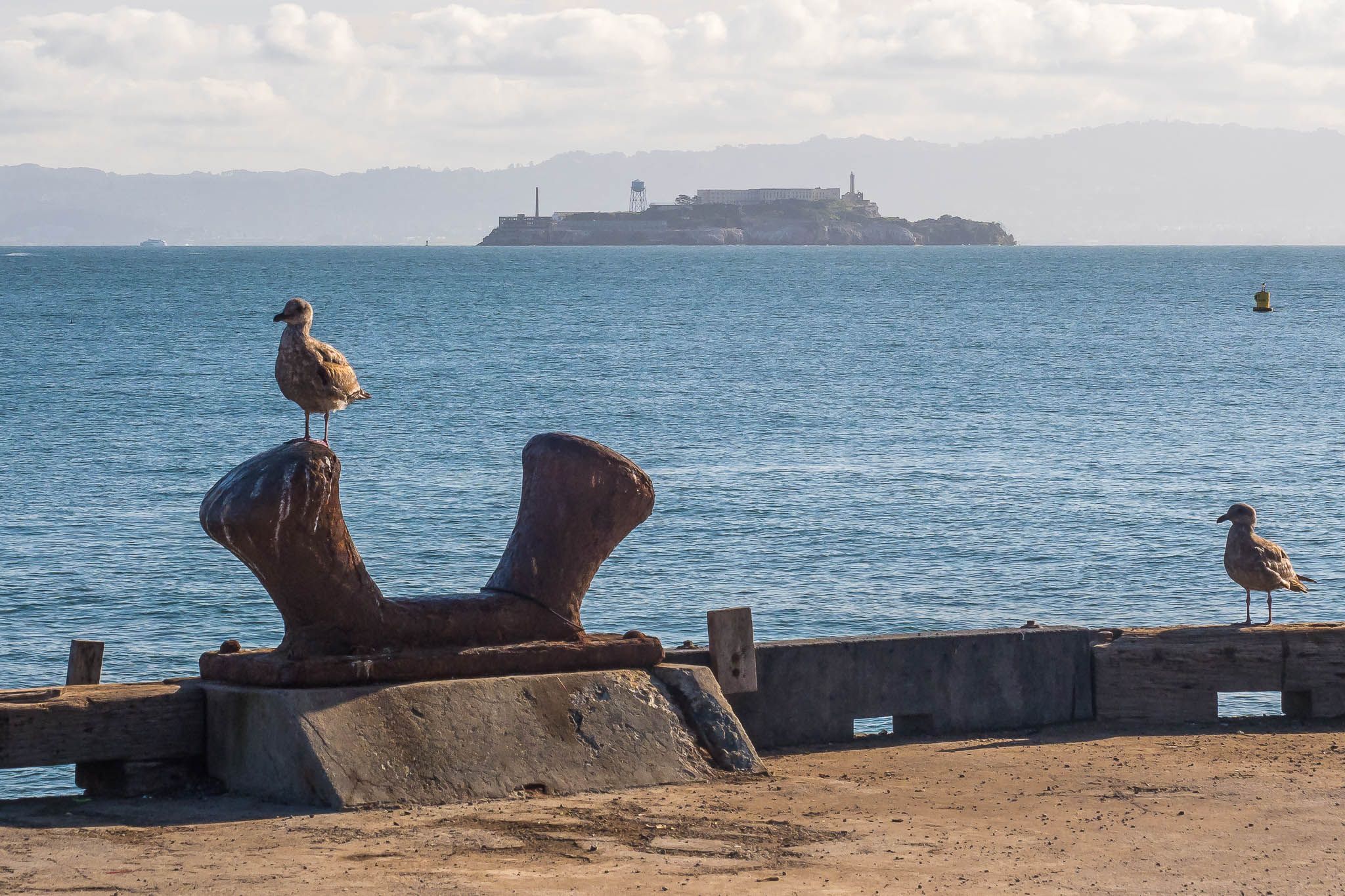 Torpedo Wharf, USA