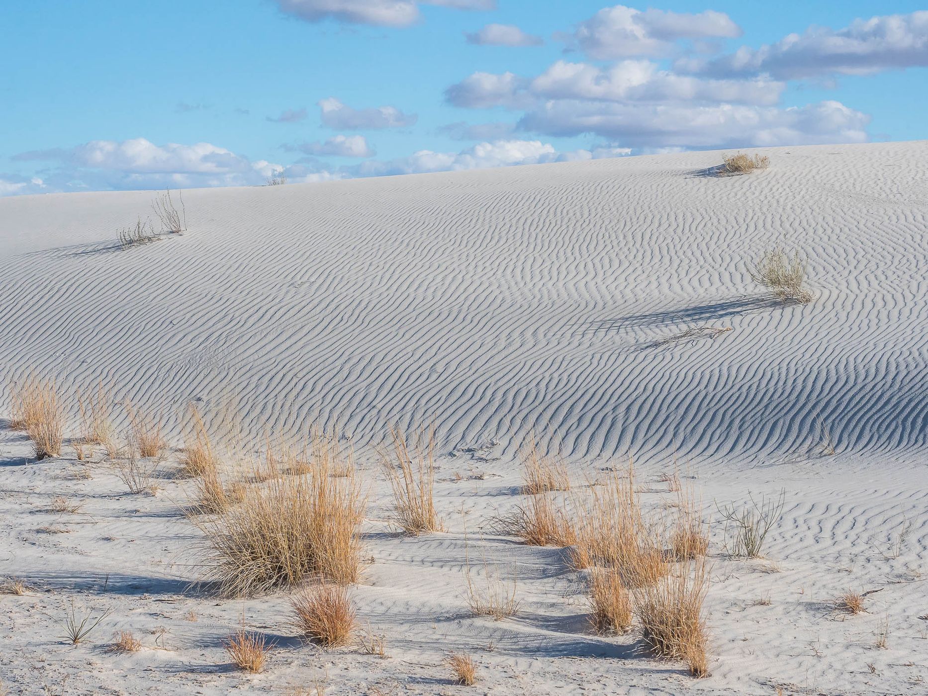 White Sands National Park, USA
