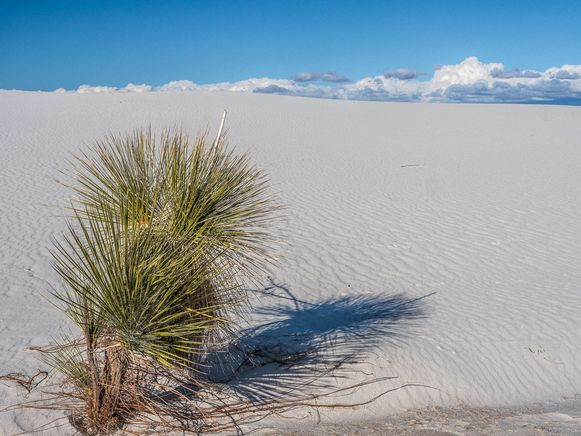 White Sands National Park, USA