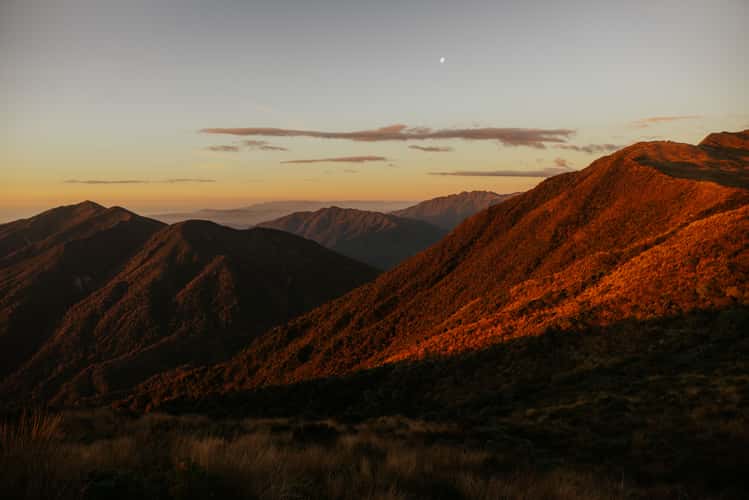 Area around Mount Brown Hut, Lake Kaniere