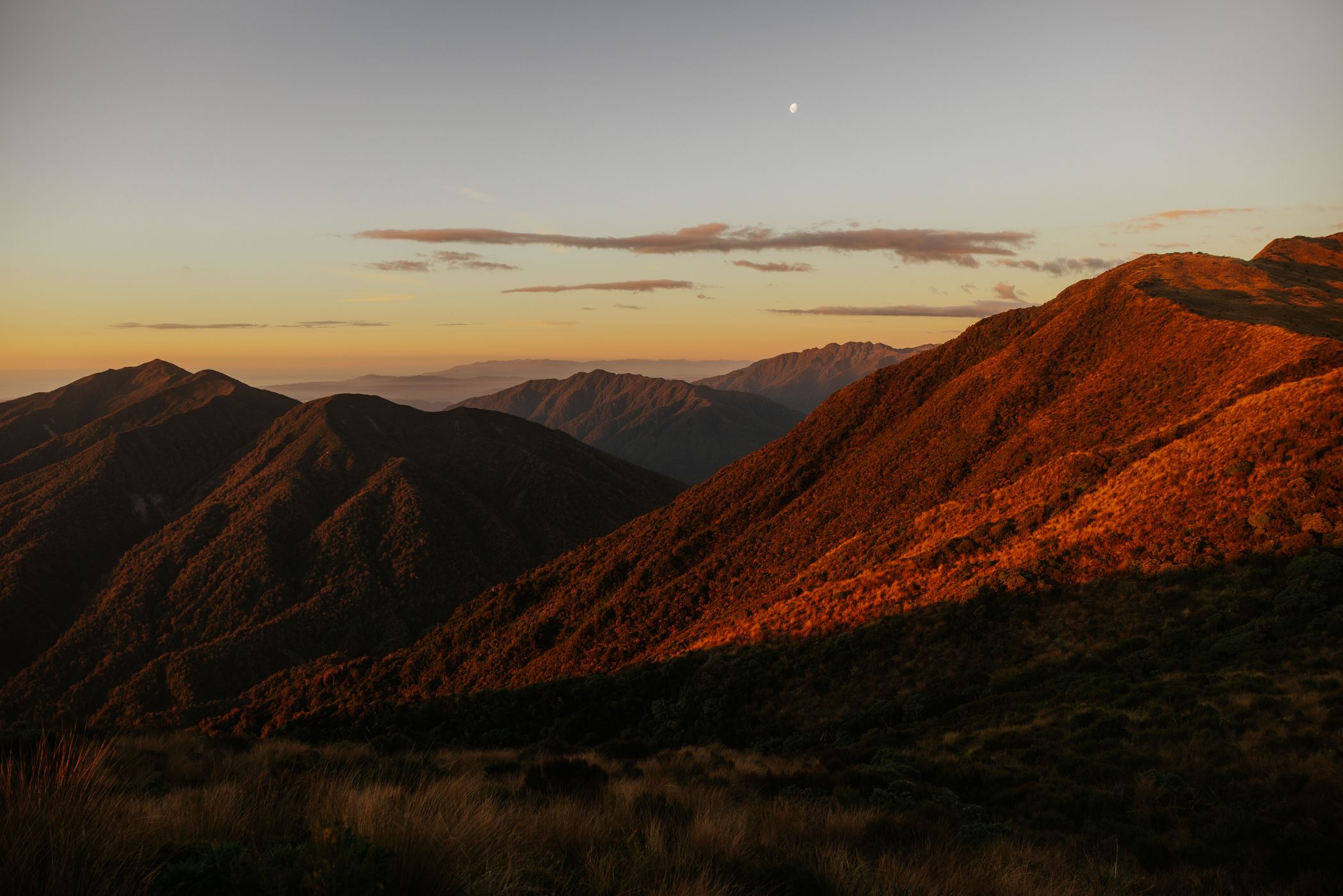 Area around Mount Brown Hut, Lake Kaniere, New Zealand