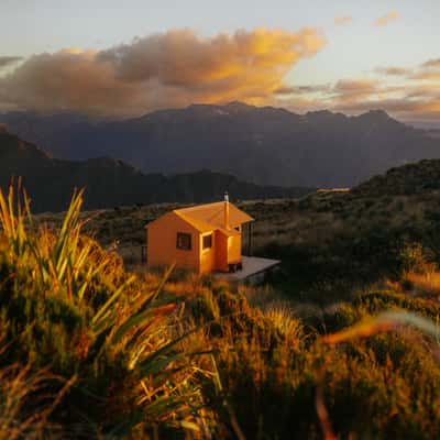 Area around Mount Brown Hut, Lake Kaniere, New Zealand