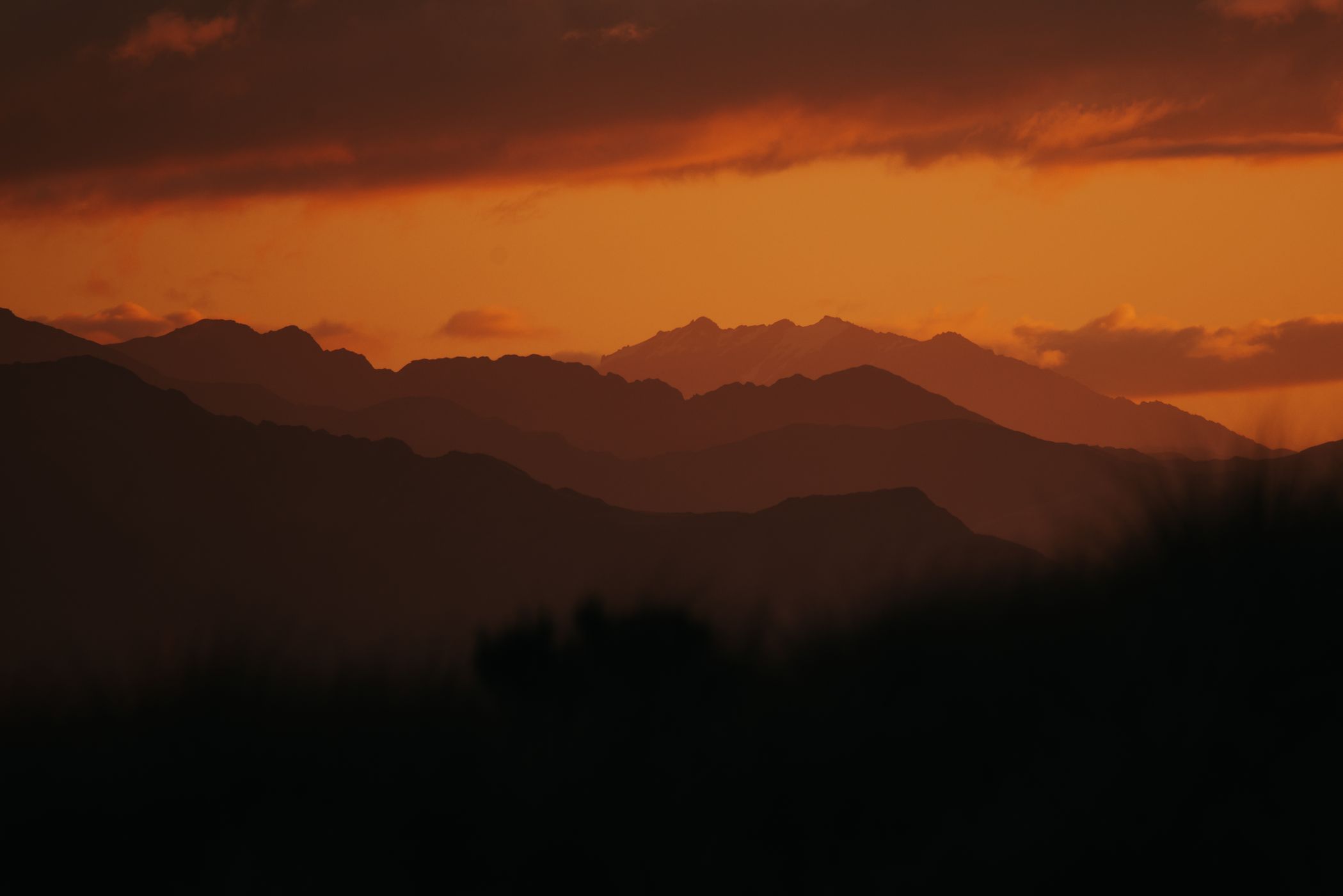 Area around Mount Brown Hut, Lake Kaniere, New Zealand