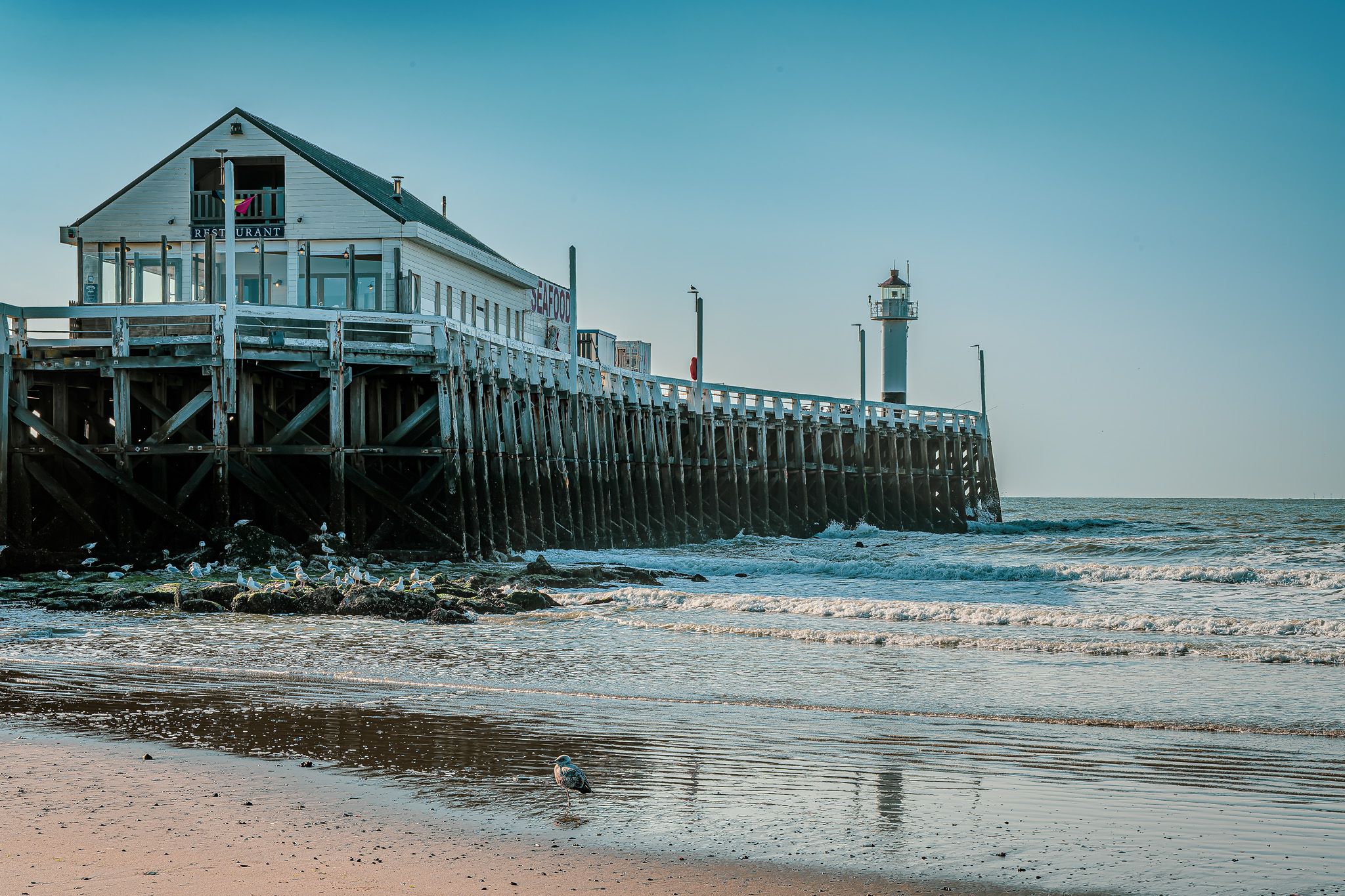 Blankenberge - Oosterstaketsel, Belgium