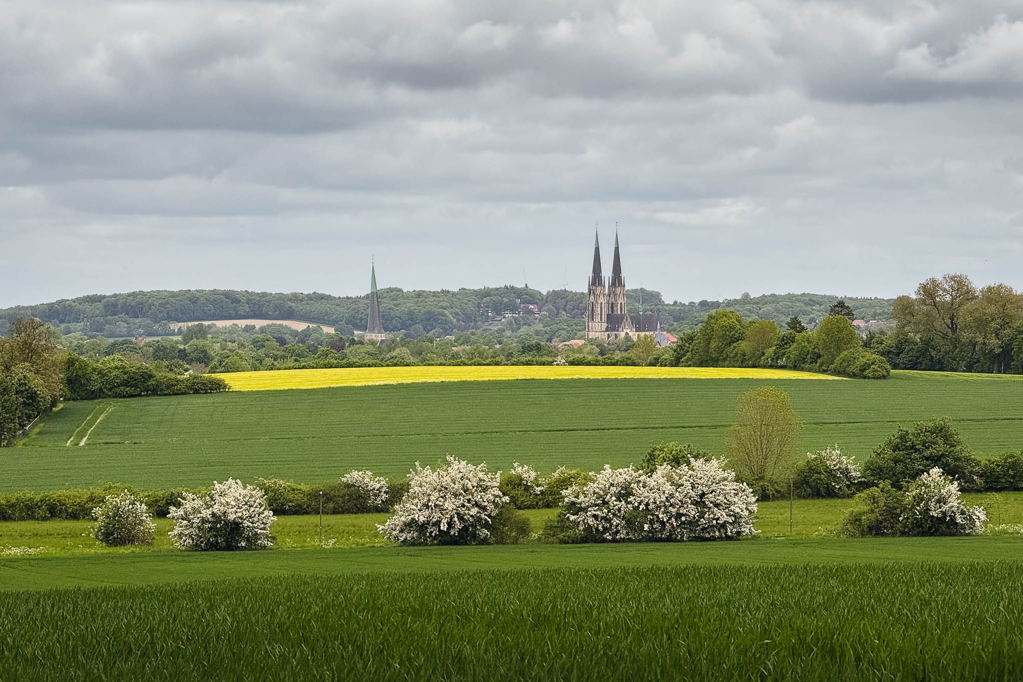 Blick auf Billerbeck, Germany