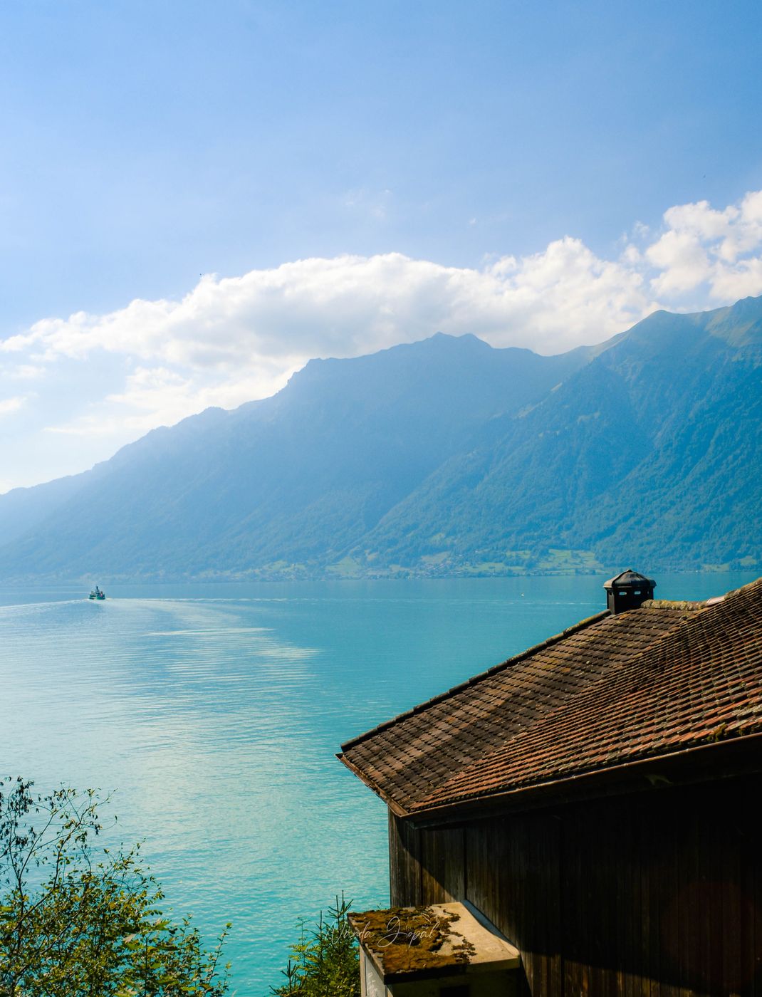 Brienz Lakeview, Switzerland