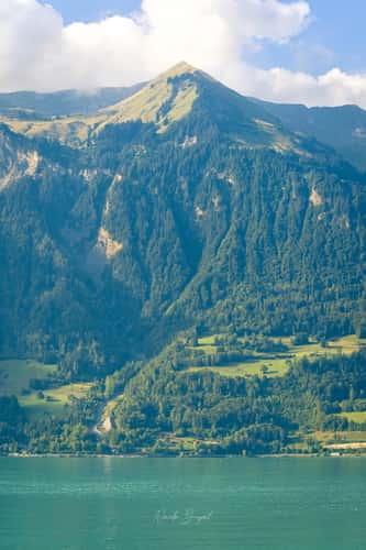 Brienz Lakeview