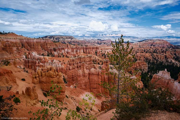Bryce Canyon