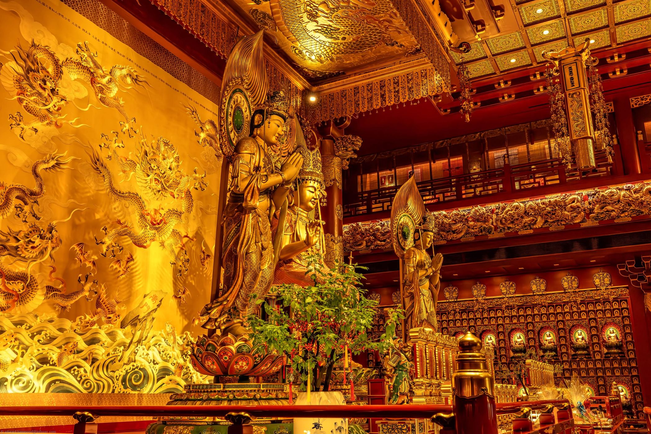 Buddha Tooth Temple, Singapore