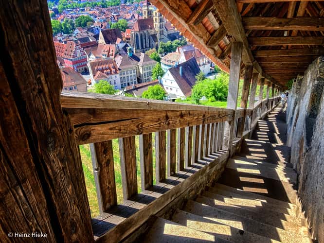 Burg