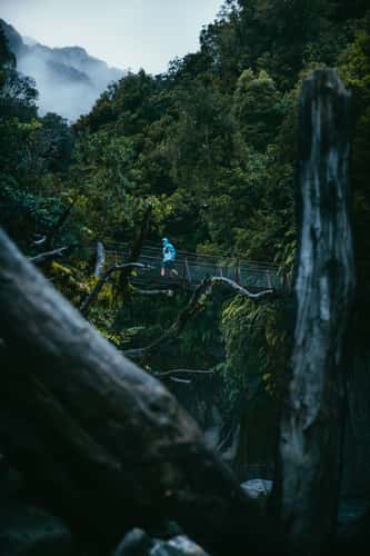 Callery Gorge river and bridge, Franz Josef Glacier