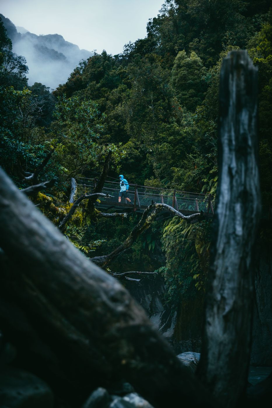 Callery Gorge river and bridge, Franz Josef Glacier, New Zealand