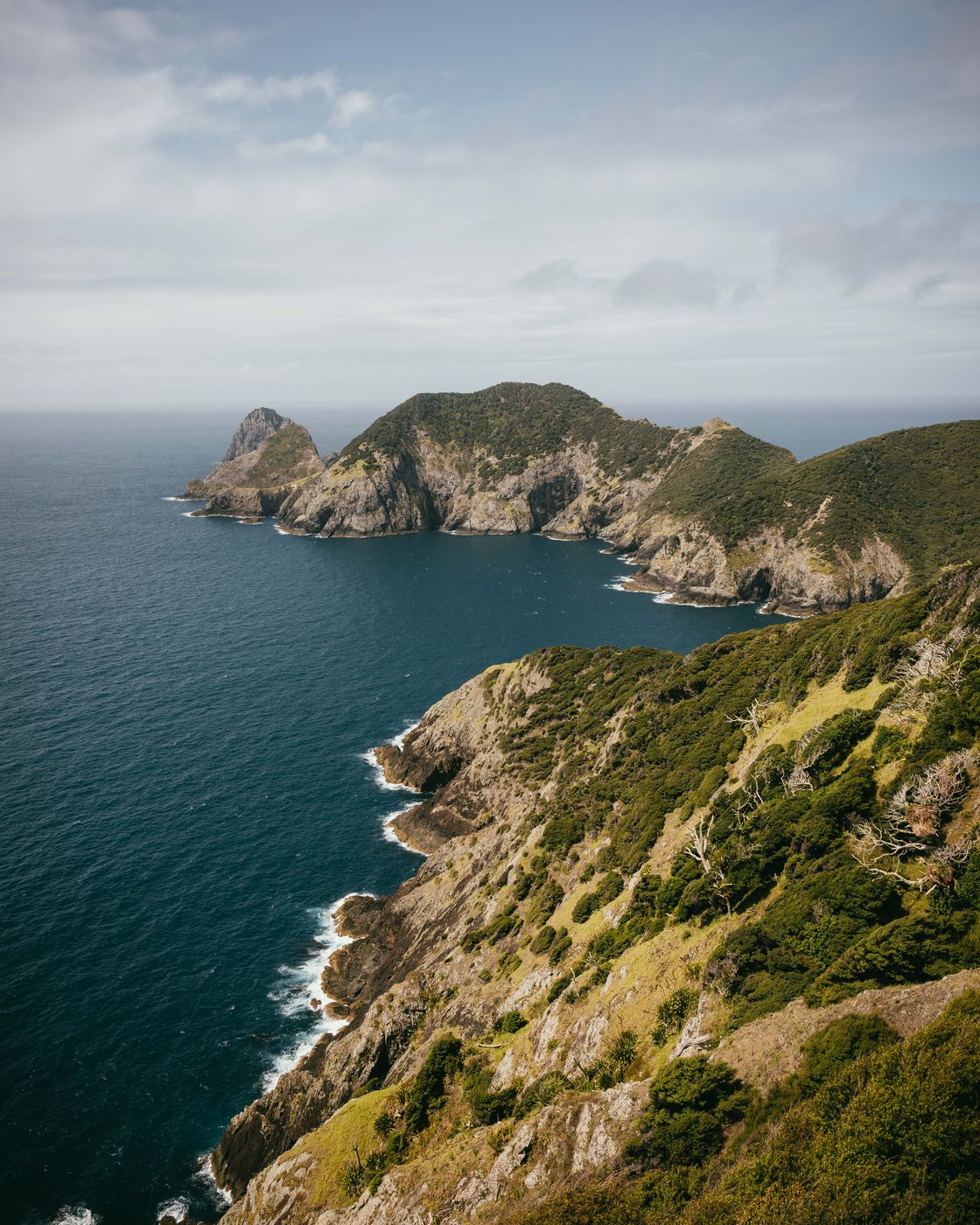 Cape Brett Track, Cape Brett, New Zealand