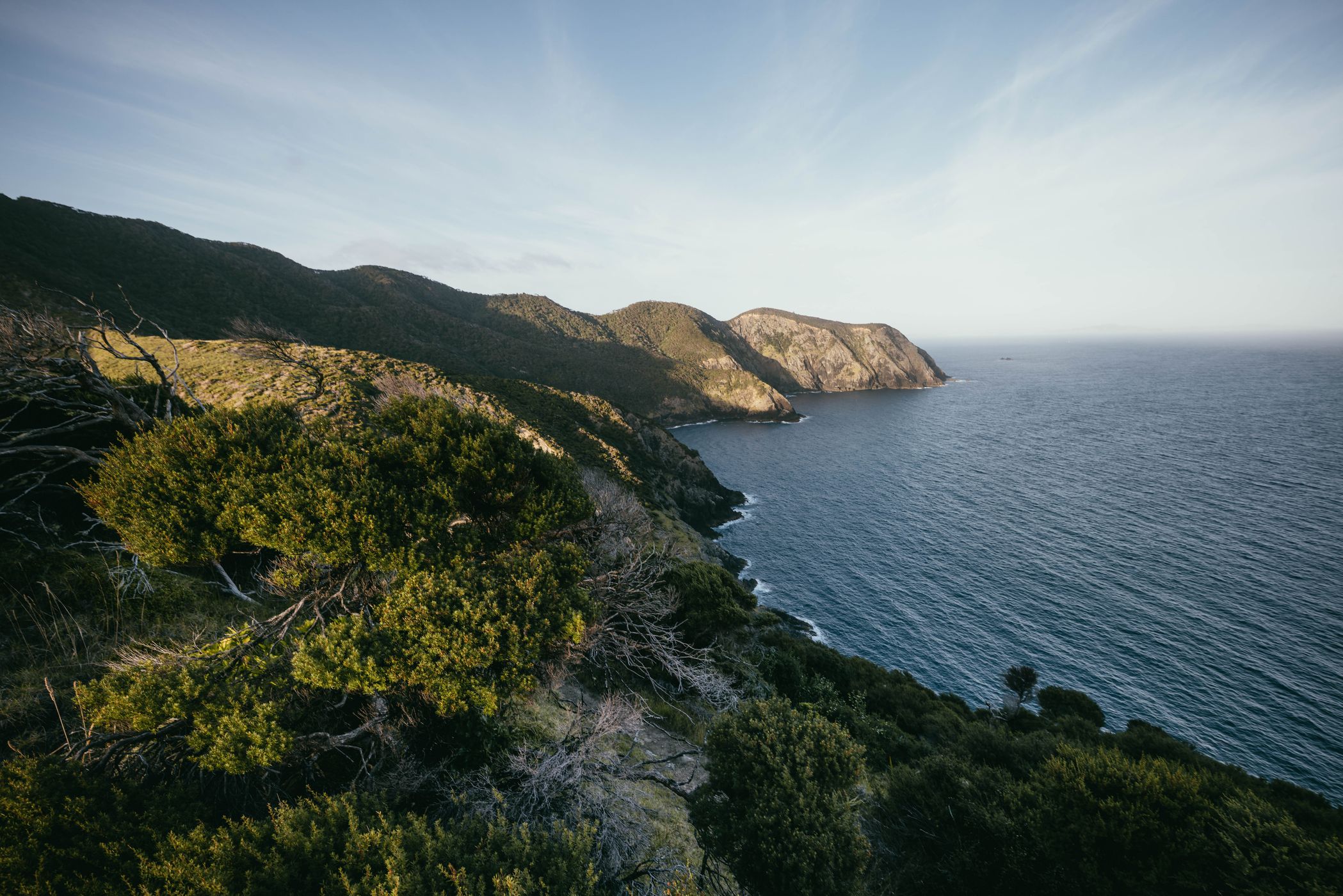 Cape Brett Track, Cape Brett, New Zealand
