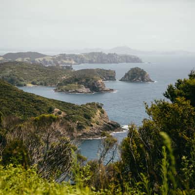 Cape Brett Track, Cape Brett, New Zealand
