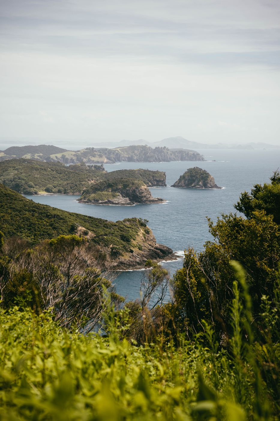 Cape Brett Track, Cape Brett, New Zealand