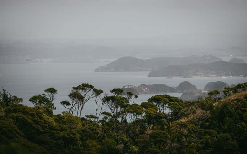 Cape Brett Track, Cape Brett