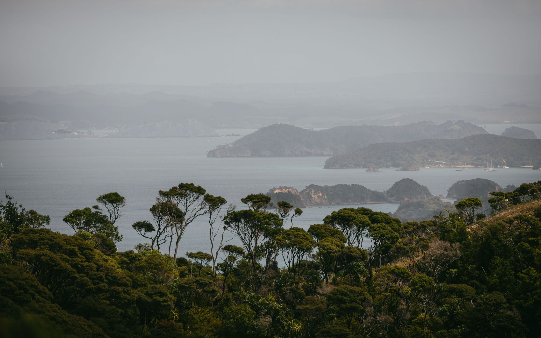 Cape Brett Track, Cape Brett, New Zealand