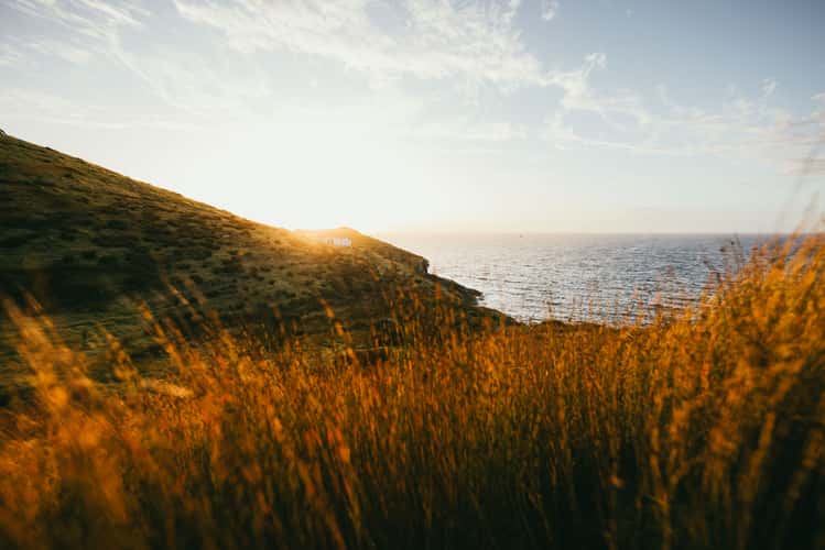 Cape Brett Hut, Cape Brett