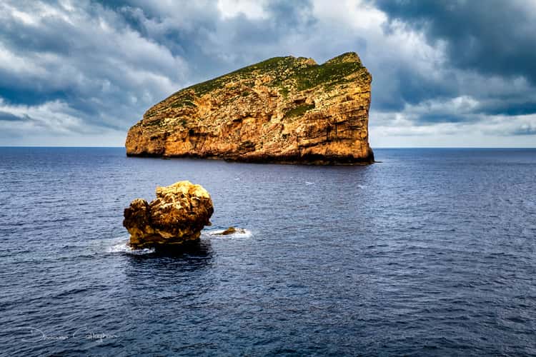 Capo caccia