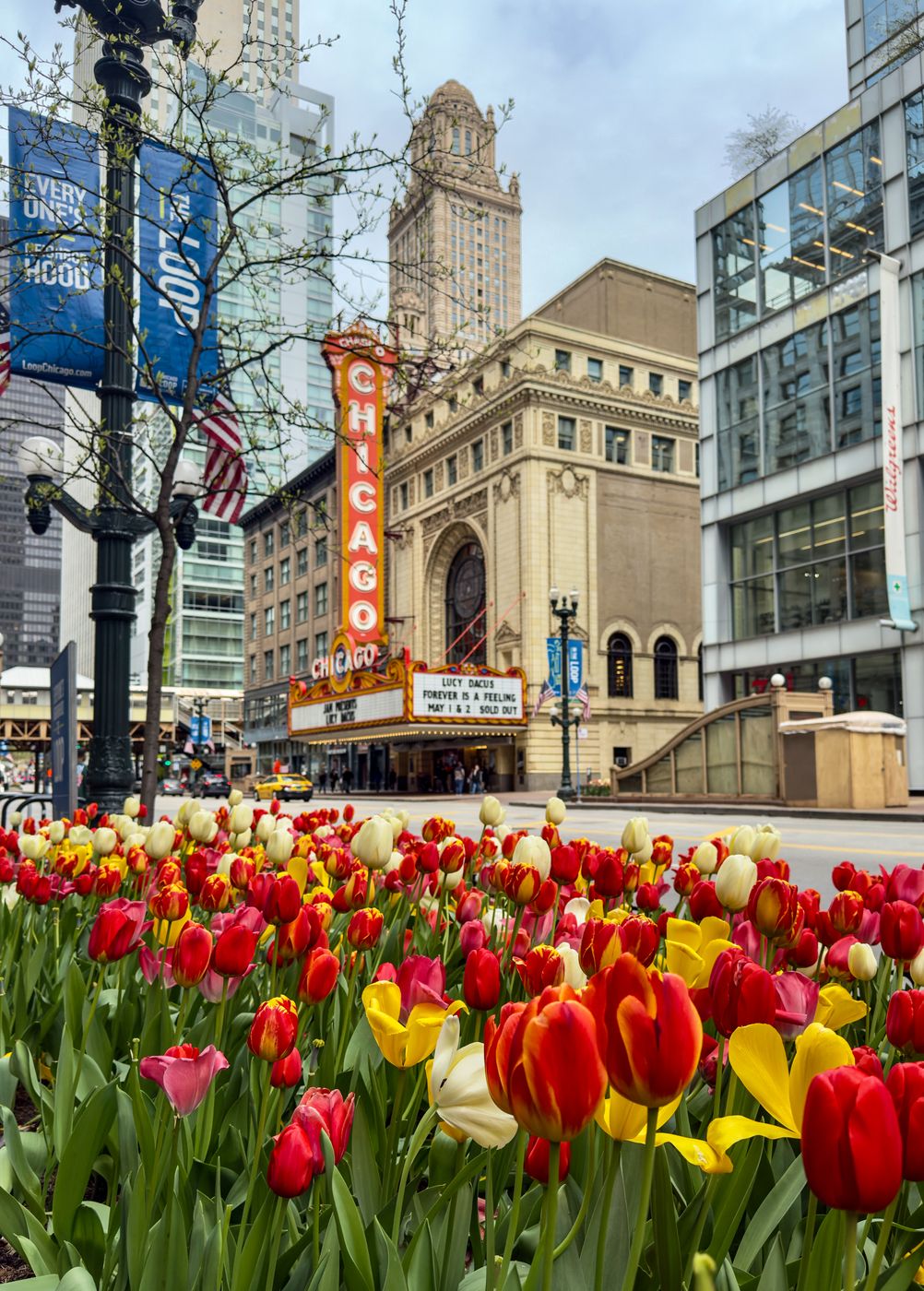 Iconic Chicago Theater on State Street, USA