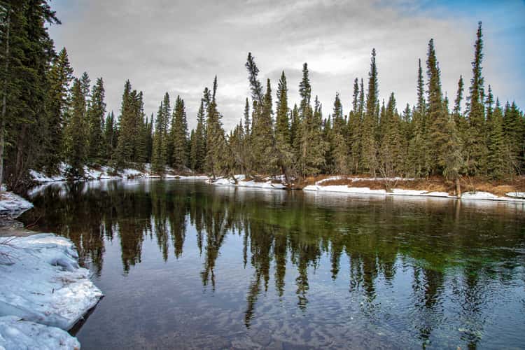 Clearwater State Recreation Site