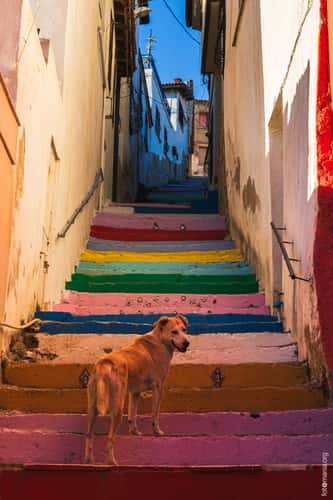 Colorful stairs in Kuşadası