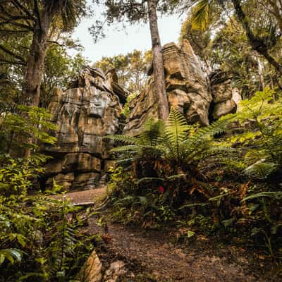 Crags Track, Jurassic Walks, New Zealand