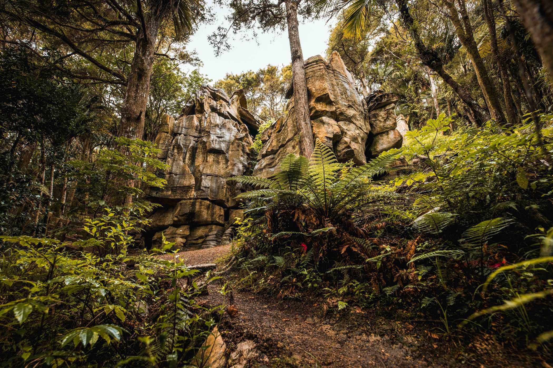 Crags Track, Jurassic Walks, New Zealand