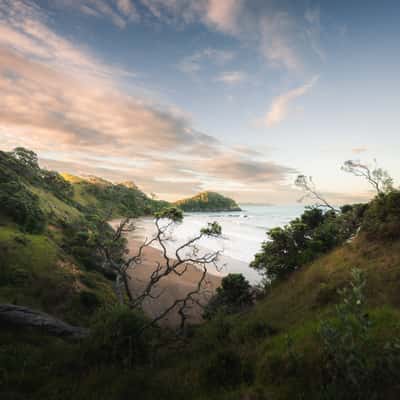Daisy Bay Viewpoint, New Zealand
