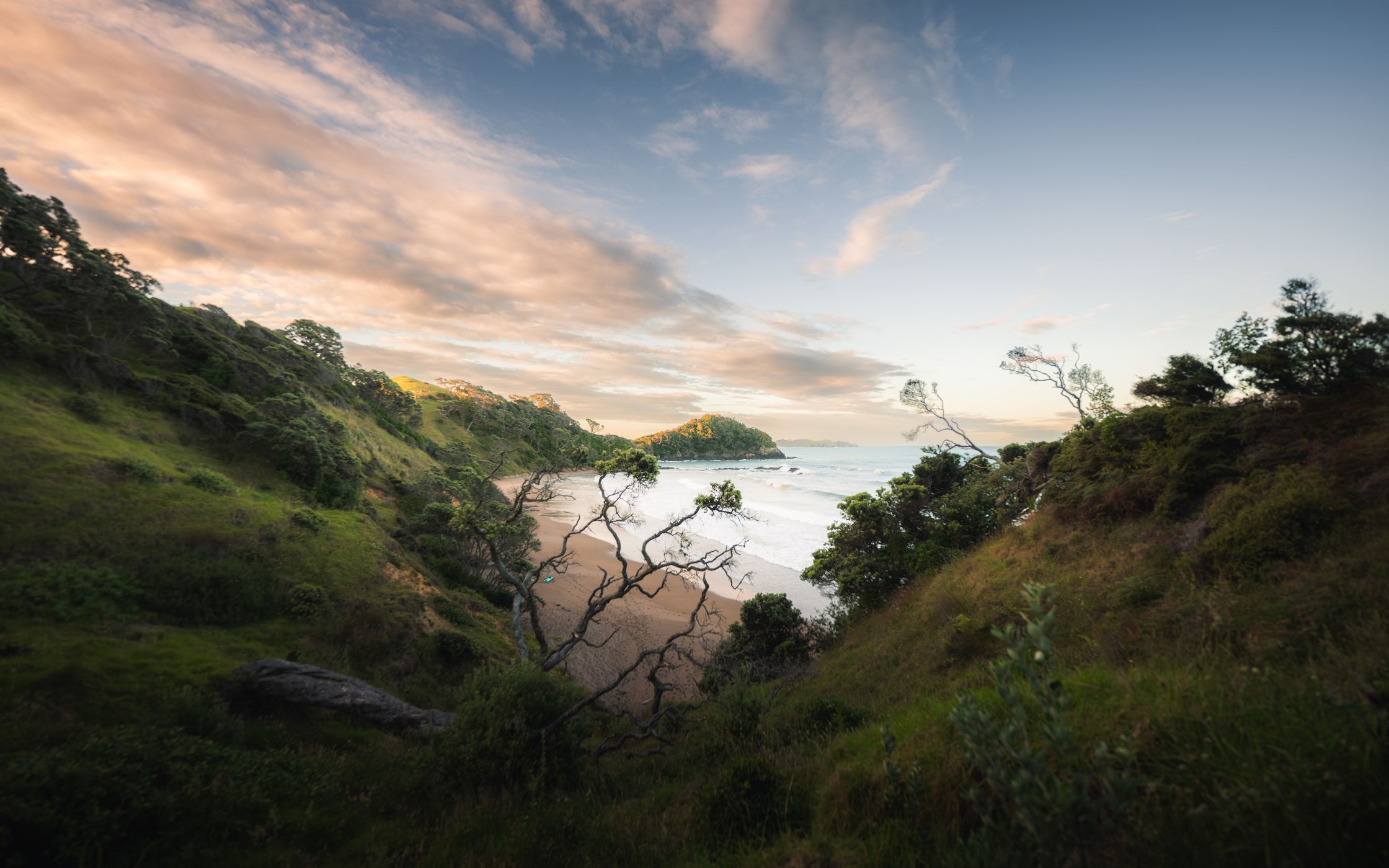 Daisy Bay Viewpoint, New Zealand