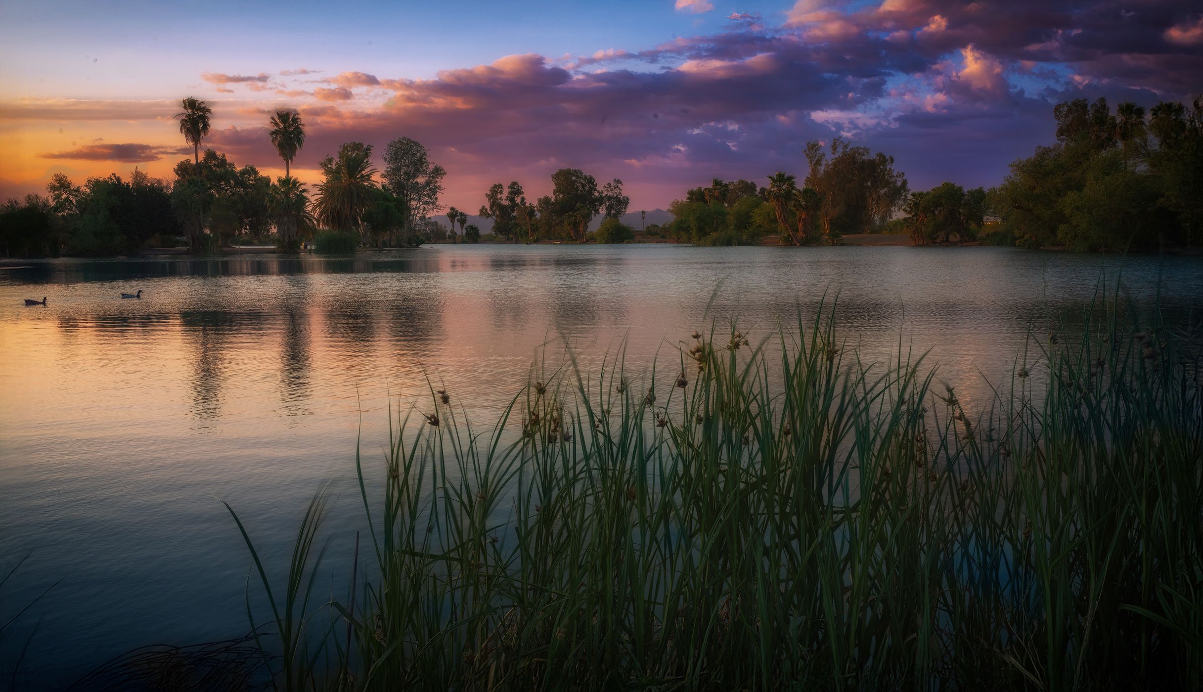 Danny Lopez Park, USA